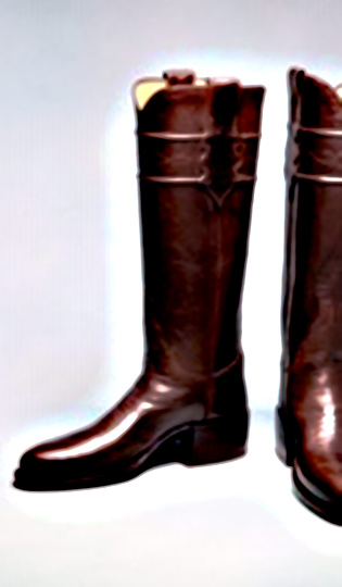 sample boots